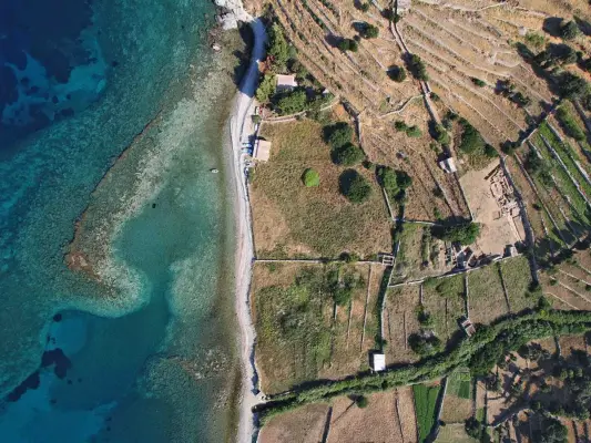 Transfer to Paleopolis